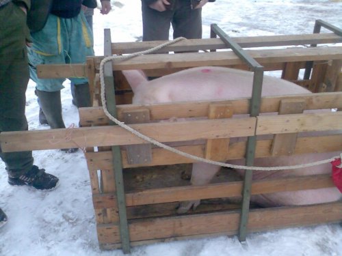 Vepřové hody - 29.12.2006